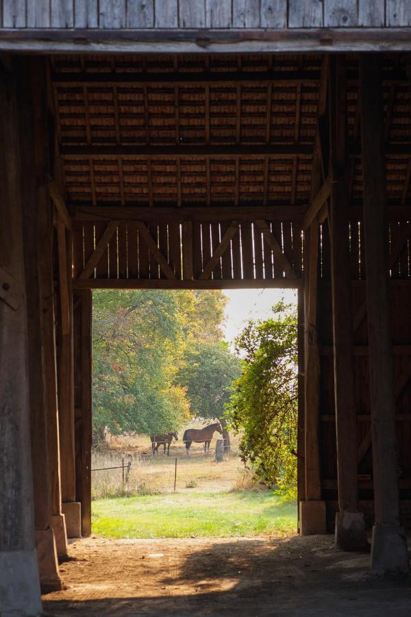 Chambre d'hôtes Fantesstique Berzieux Extérieur photo